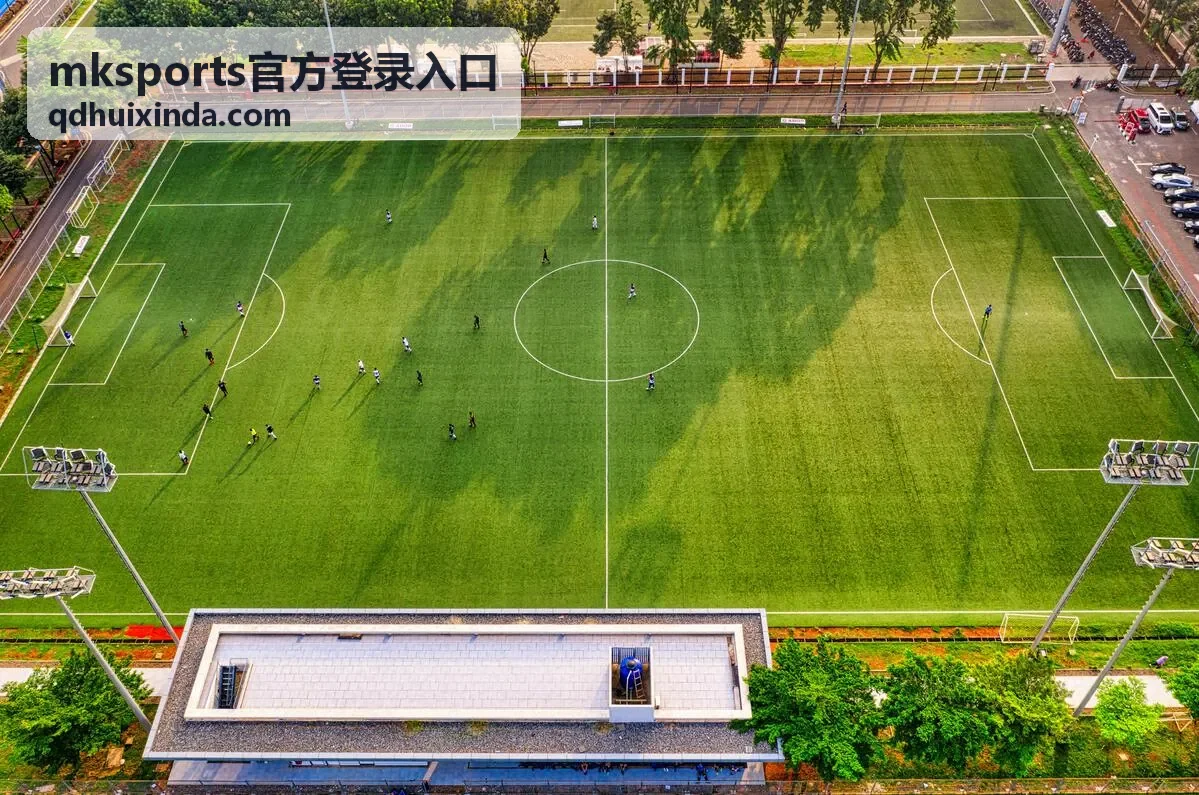 mksports官方登录入口账号填写区域示意