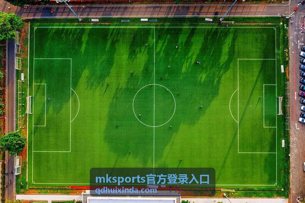mksports官方登录入口异常提示处理示意