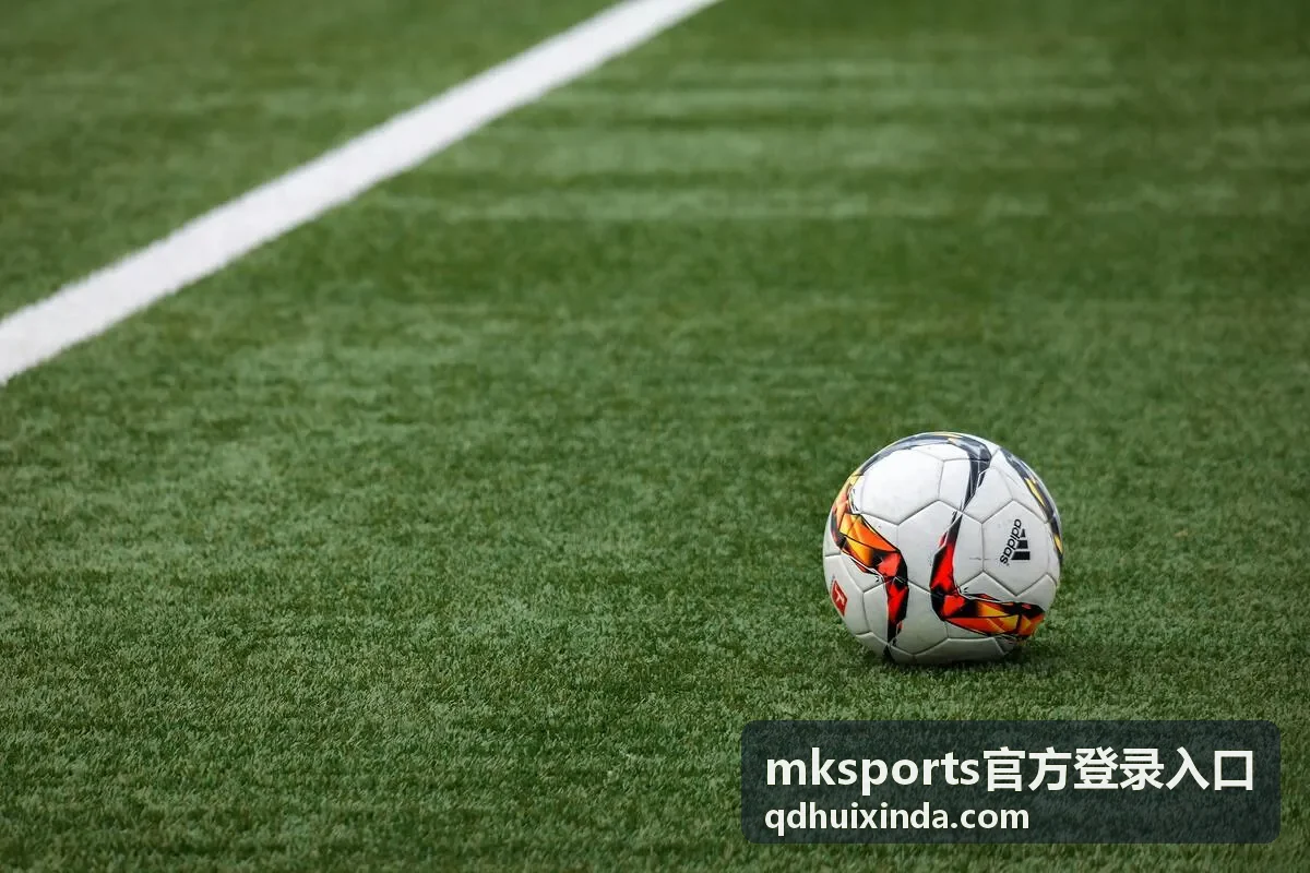 mksports官方登录入口更换设备访问示意